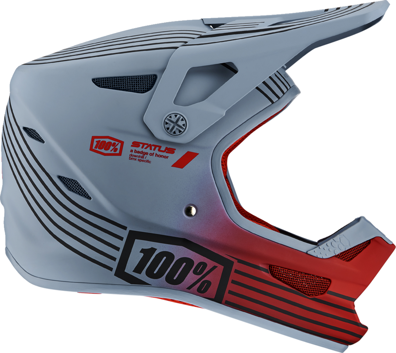Status Helmet - Caltec/Gray - Medium