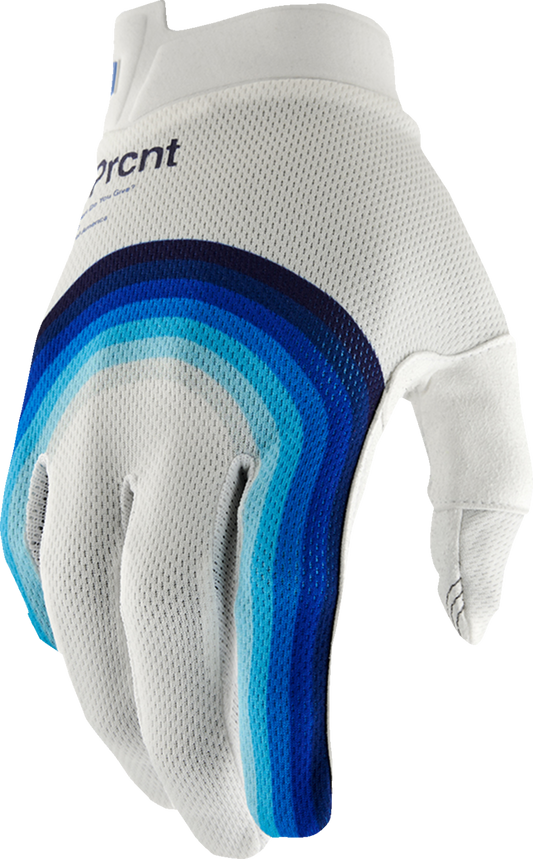 iTrack Gloves - Rewind White - Medium