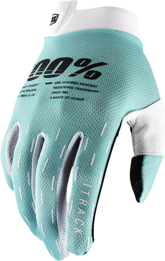 iTrack Gloves - Aqua - Large